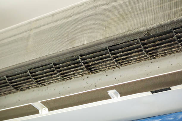Best Commercial Air Duct Cleaning  in Gerald, MO